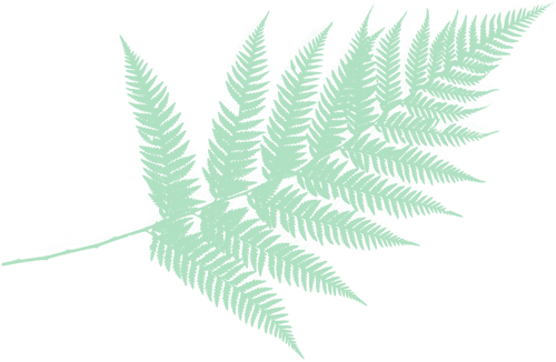 Nutritional Mindset Coaching